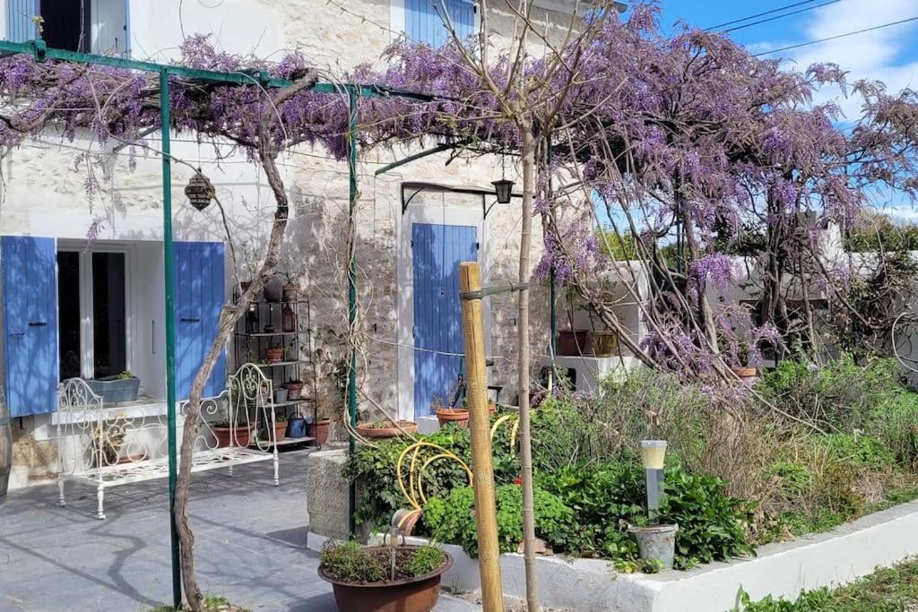 Location Appartement Dans Mas Provencal 몽투 외부 사진